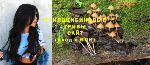 а пвп мука Богородицк