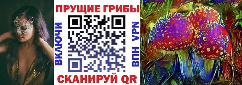 Псилоцибиновые грибы Psilocybine cubensis  купить  сайты  Кедровый 